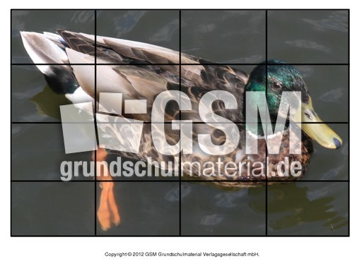Puzzle-Stockente-4.pdf